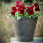 Napa Round Planter 10″ – Artstone Black